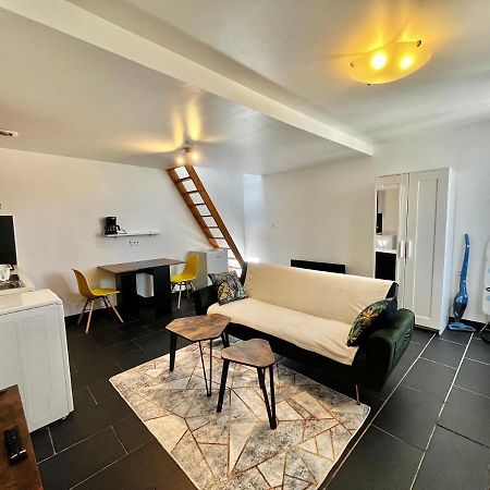 Studios Au Quartier Pavillonnaire Rue D Ambert Orléans Eksteriør bilde